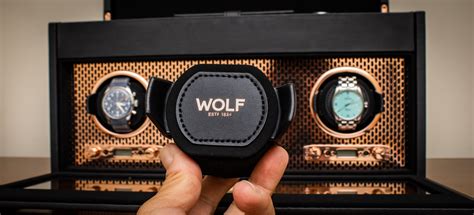 wolf outwear rolex|rolex watch winders reviews.